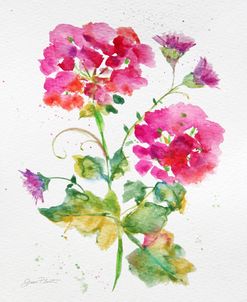 JP3792-Watercolor Flowers