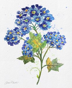 JP3794-Watercolor Flowers