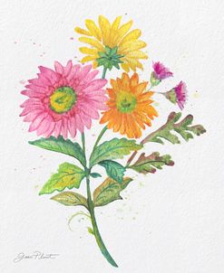 JP3795-Watercolor Flowers