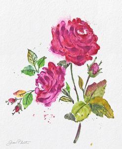 JP3798-Watercolor Flowers