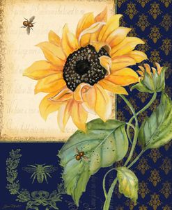 Sunflower Melody-B
