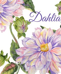 JP25923-Dahlia