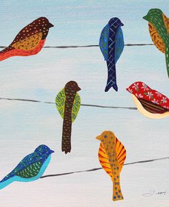 Lovely Colorful Birds On Wires 1