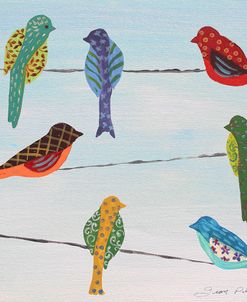 Lovely Colorful Birds On Wires 2