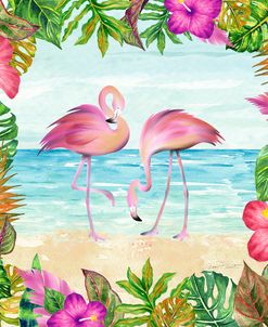 Summertime Flamingos