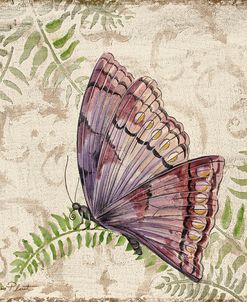 Butterfly Daydreams-B