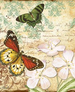 Inspirational Butterflies-B