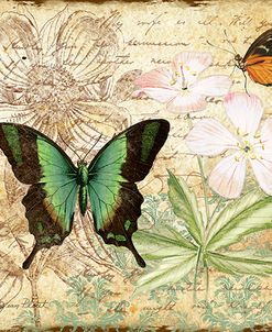 Inspirational Butterflies-C