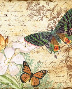 Inspirational Butterflies-D