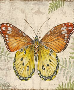 Butterfly Daydreams-C