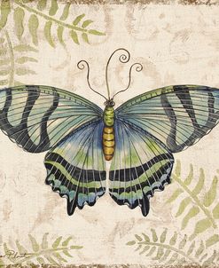Butterfly Daydreams-D