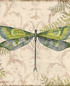 Dragonfly Daydreams-C