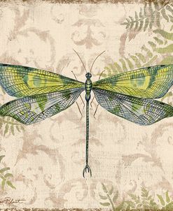 Dragonfly Daydreams-C