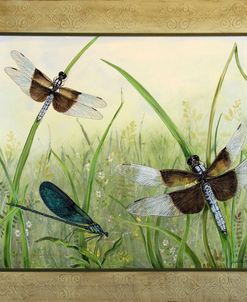 Dragonfly Friends-boarder