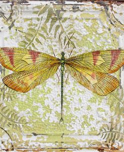 Dragonfly-A On Tin Tile