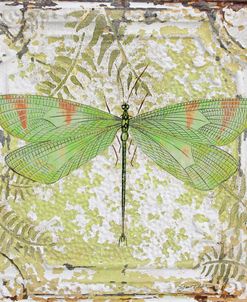 Dragonfly-E On Tin Tile