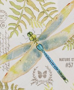 JP3418-Botanical Dragonfly
