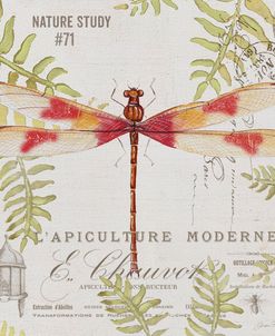 JP3425-Botanical Dragonfly