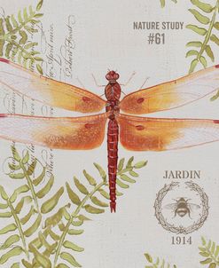 JP3419-Botanical Dragonfly