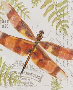 JP3420-Botanical Dragonfly