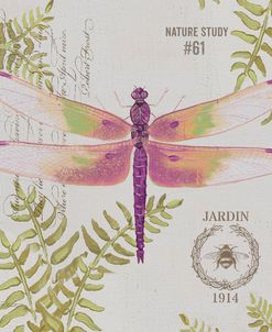 JP3422-Botanical Dragonfly