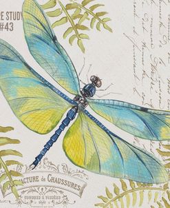 JP3423-B-Botanical Dragonfly