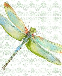 JP3436-Dragonfly Bliss