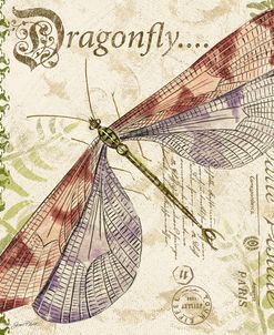 JP3431-Dragonfly Daydreams