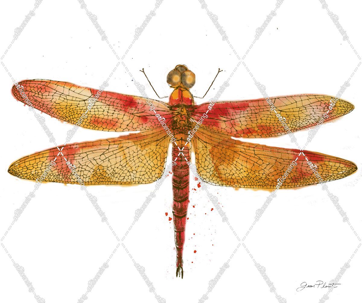 JP3442-Dragonfly Bliss