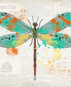 JP3451-Dragonfly On Newsprint