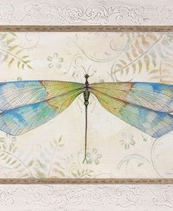 Summer Dragonfly 1