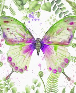 Botanical Butterfly Beauty 3