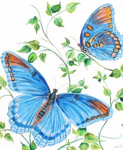 Summertime Butterflies C
