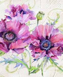 Romantic Purple Poppies