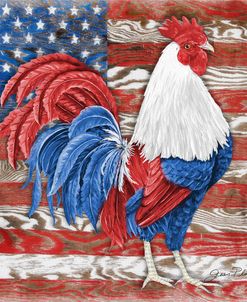 American Rooster B
