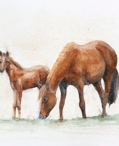 Horses In Watercolor
