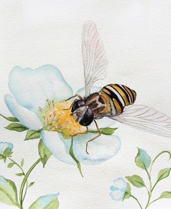 Bee In Watercolor