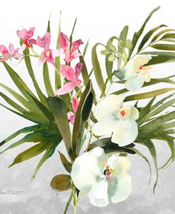 Beautiful Orchids A