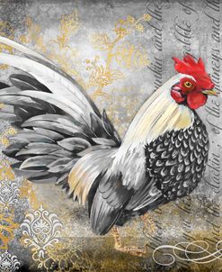 Gold Lace Rooster A