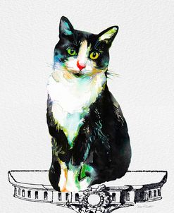 Watercolor Cat On Table E
