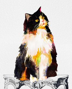 Watercolor Cat On Table B