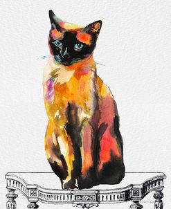 Watercolor Cat On Table C