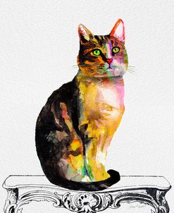 Watercolor Cat On Table D