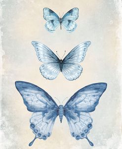 Blue Butterfly Trio A