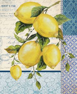 Patchwork Lemons B
