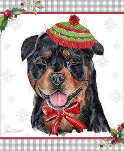 Plaid Christmas with Dog E