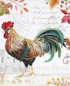 Seasonal Rooster 11