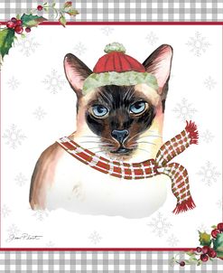 Plaid Christmas with Cat B