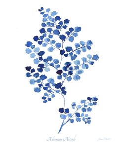 Indigo Botanical 1