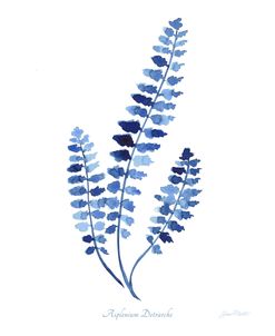 Indigo Botanical 3